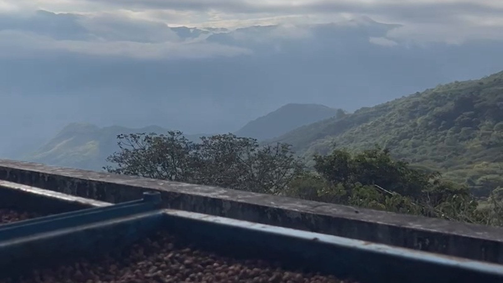Coffee drying beds overlooking a mountainous coffee landscape in Colombia
