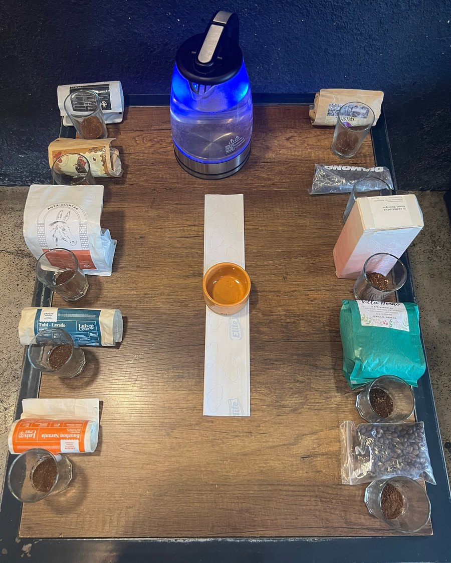 An organized comparative coffee tasting table with multiple samples